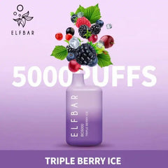 Elfbar Bc 5000 Puffs Disposable Vape In Dubai