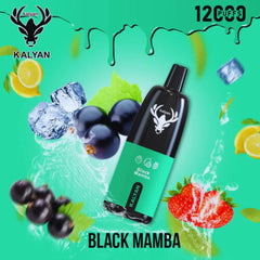 Kalyan Pro 12000 Puffs Disposable Vape In Dubai