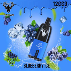 Kalyan Pro 12000 Puffs Disposable Vape In Dubai