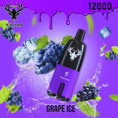 Kalyan Pro 12000 Puffs Disposable Vape In Dubai