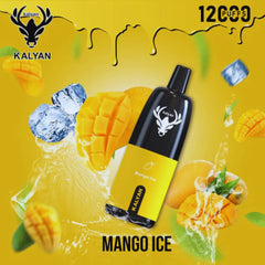 Kalyan Pro 12000 Puffs Disposable Vape In Dubai