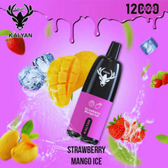 Kalyan Pro 12000 Puffs Disposable Vape In Dubai