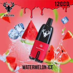 Kalyan Pro 12000 Puffs Disposable Vape In Dubai