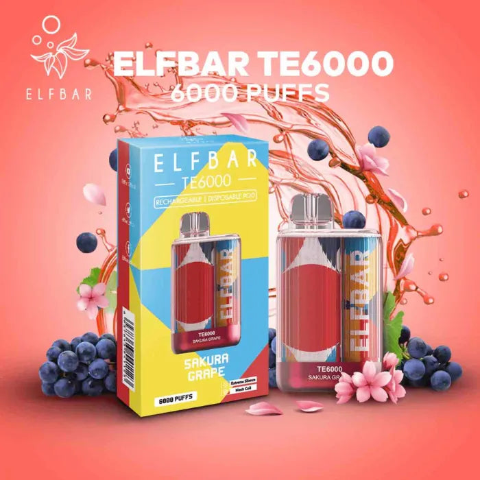 Elf Bar TE6000 US Version Disposable Dubai