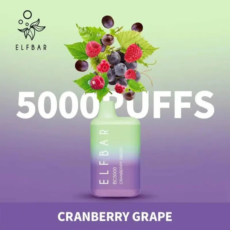 Elfbar Bc 5000 Puffs Disposable Vape In Dubai