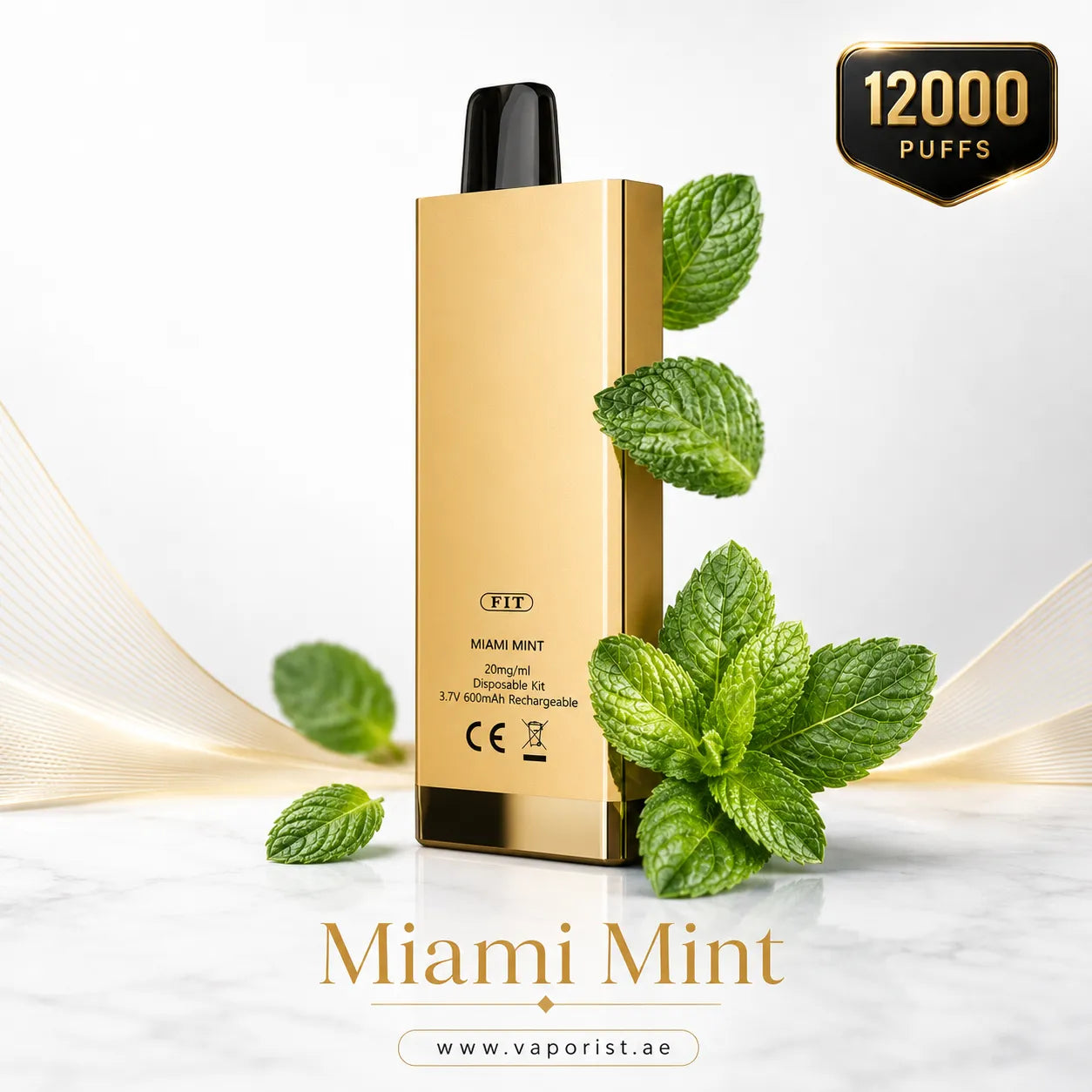 GPOO MIAMI MINT 12000 PUFFS