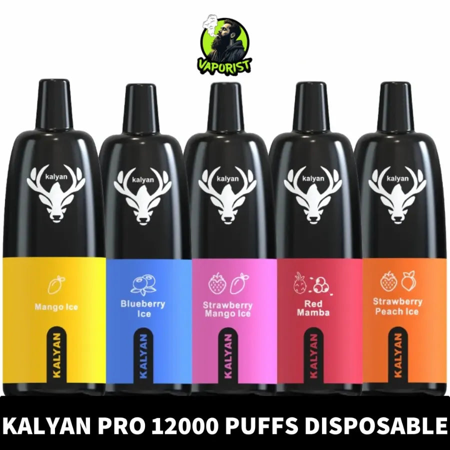 Best  Kalyan Pro 12000 Puffs Disposable Vape 50mg in Dubai, UAE