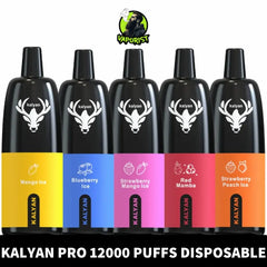 Best  Kalyan Pro 12000 Puffs Disposable Vape 50mg in Dubai, UAE