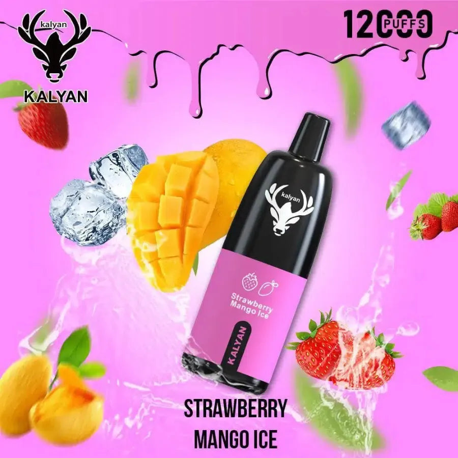 Kalyan Pro 12000 Puffs Disposable Vape 50mg in Dubai