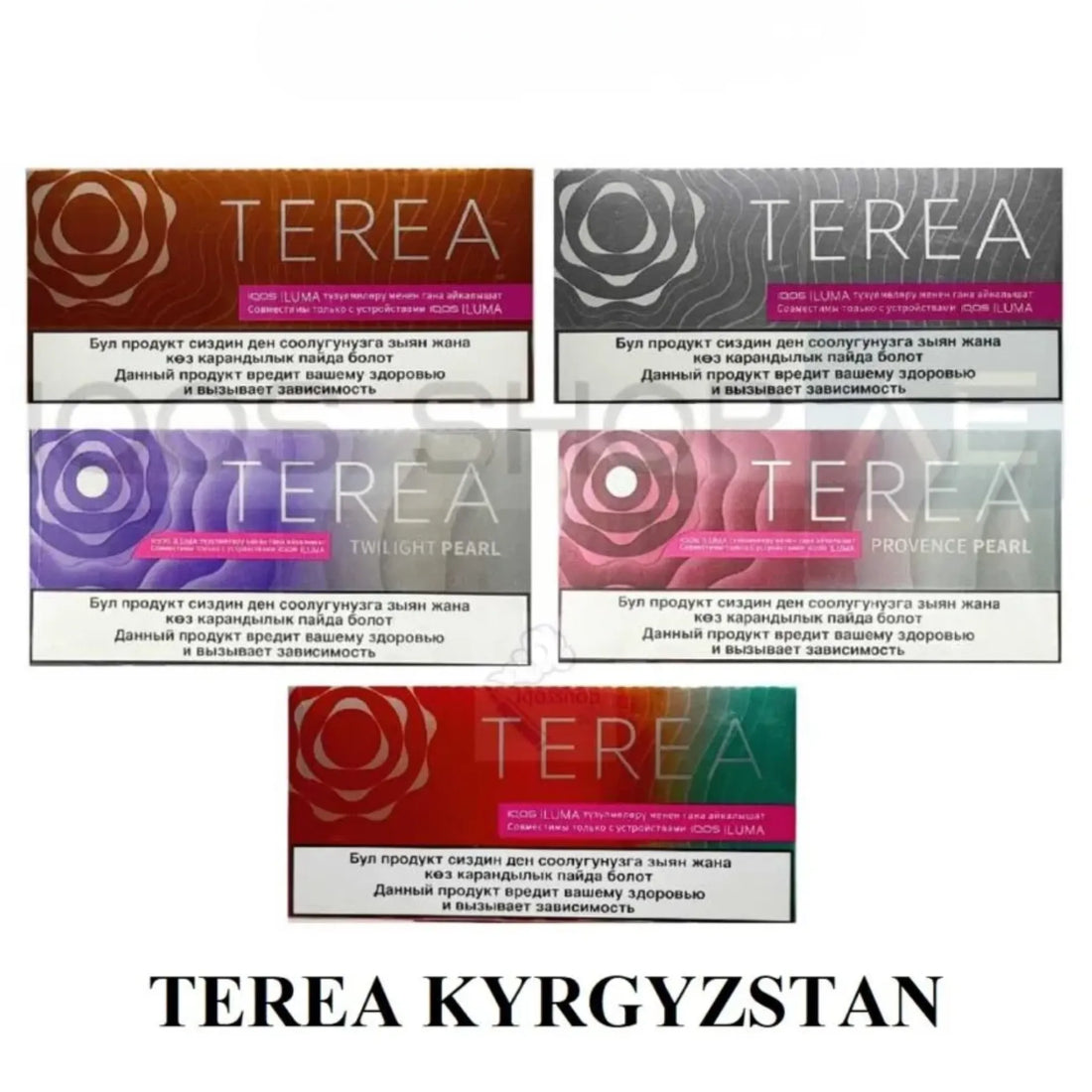 TEREA KYRGYZSTAN IN UAE