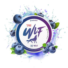 WLF NICOTINE POUCHES IN DUBAI