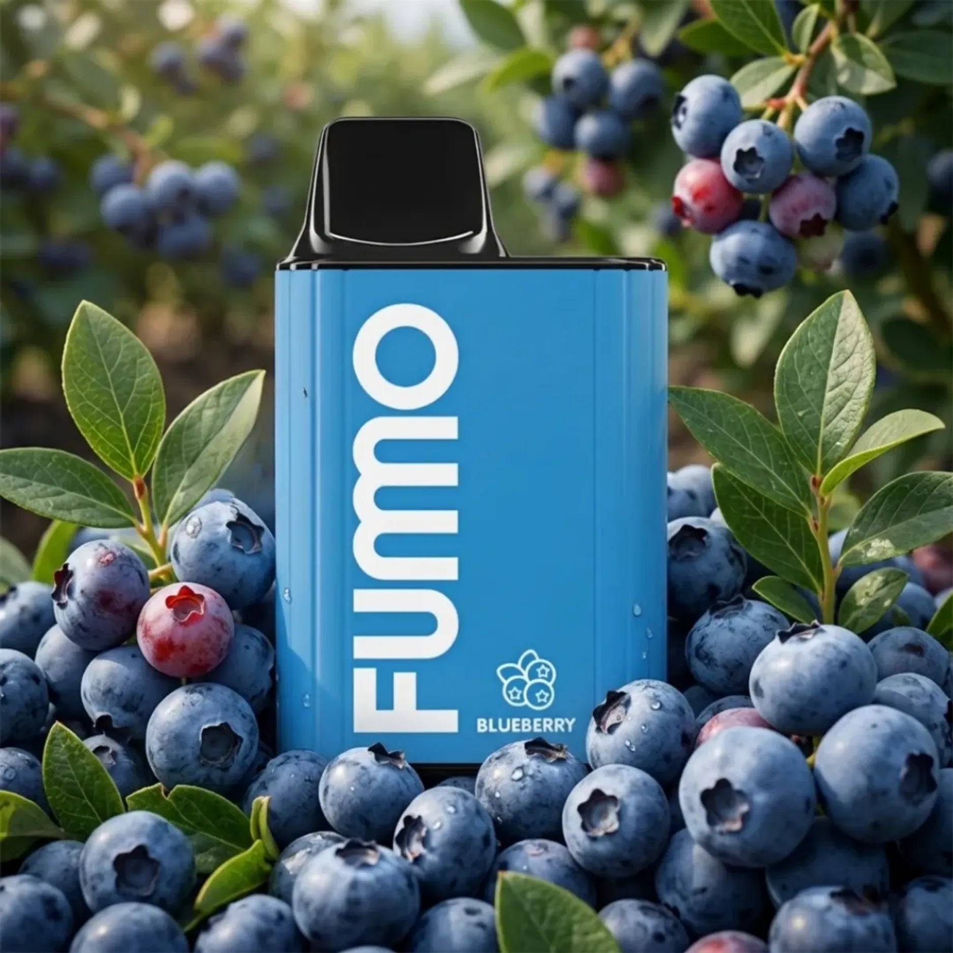 fumo-king--Blueberry