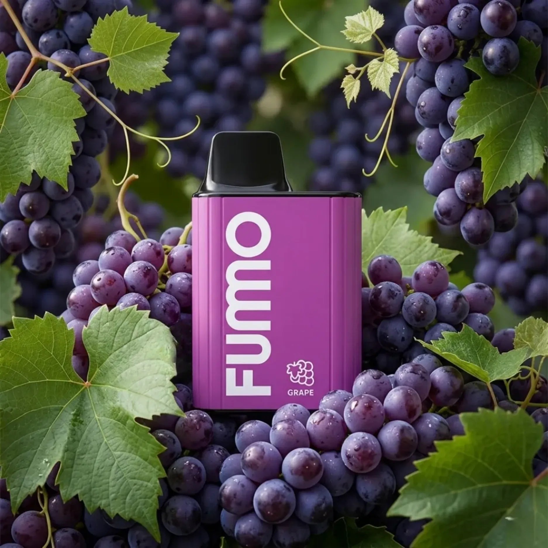 fumo-king-Grape